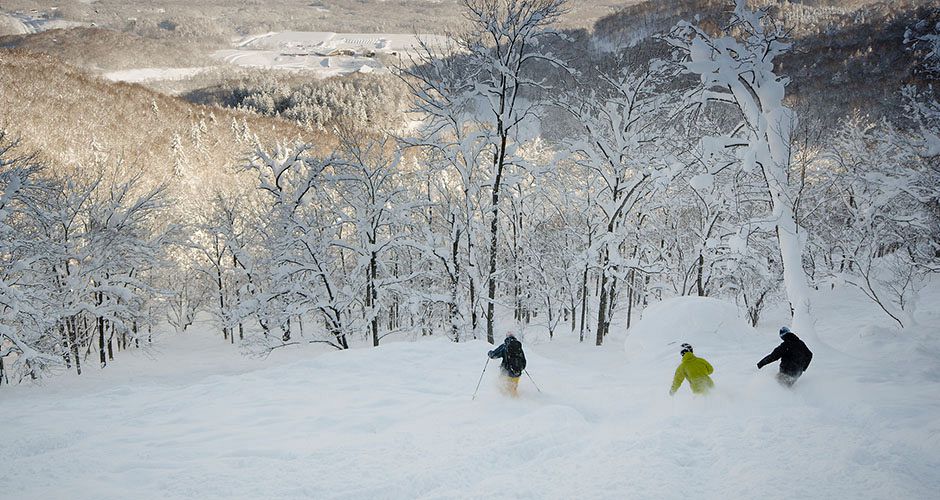 Classic ski lines through the trees at Niseko. Photo: Hanazono Ski Resort Classic ski lines through the trees at Niseko. Photo: Hanazono Ski Resort - image 0